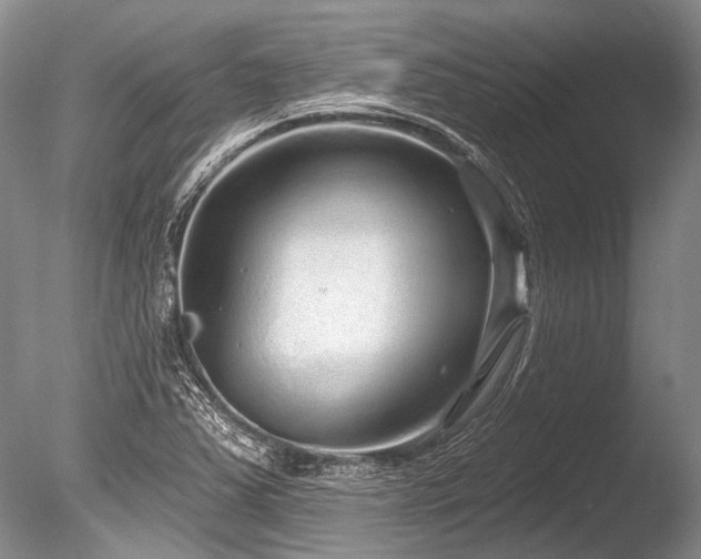 X0000086321363200703301206