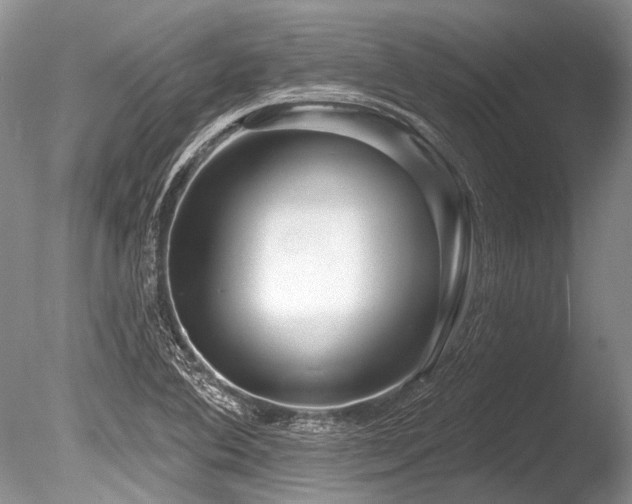 X0000086321364200703301206