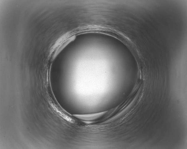 X0000086321365200703301206