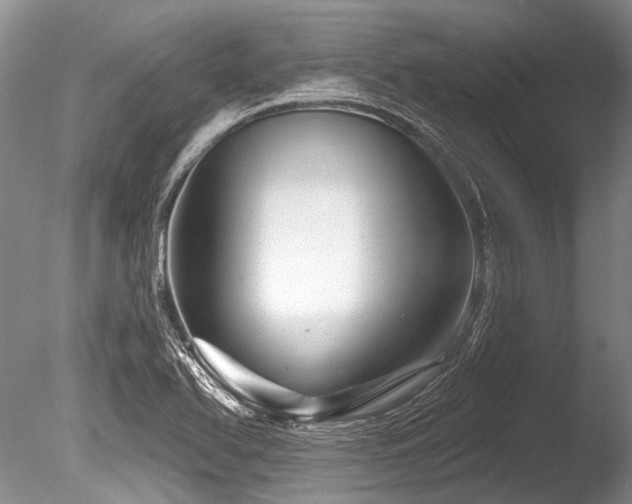 X0000086321366200703301206