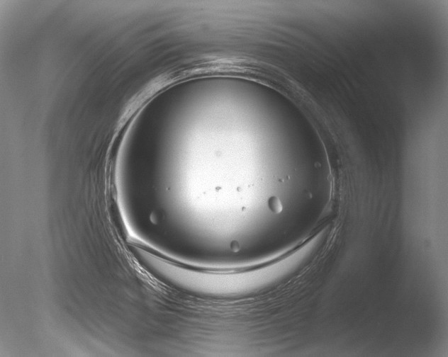 X0000086321370200703301206