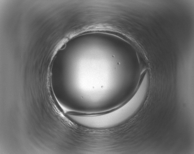 X0000086321374200703301206