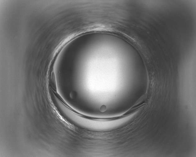 X0000086321375200703301206