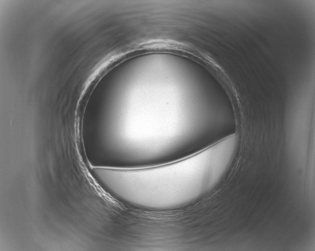 X0000086321376200703301206