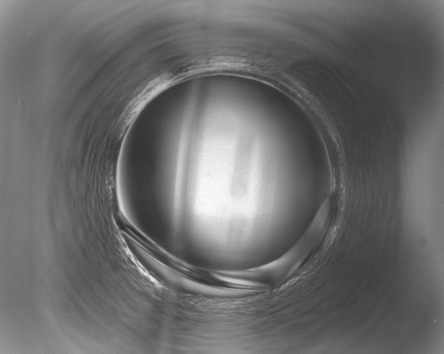 X0000086321377200703301206