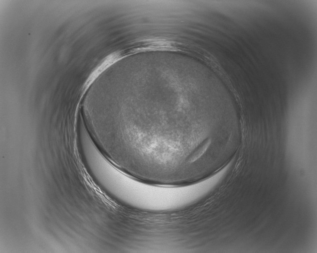 X0000086321378200703301206