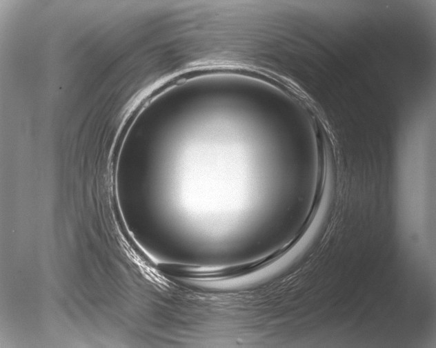 X0000086321380200703301206