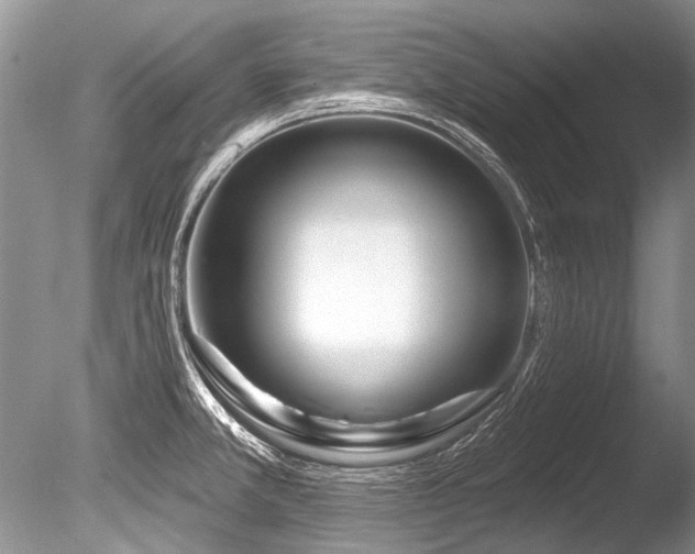 X0000086321381200703301206