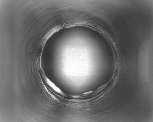X0000086321385200703301206