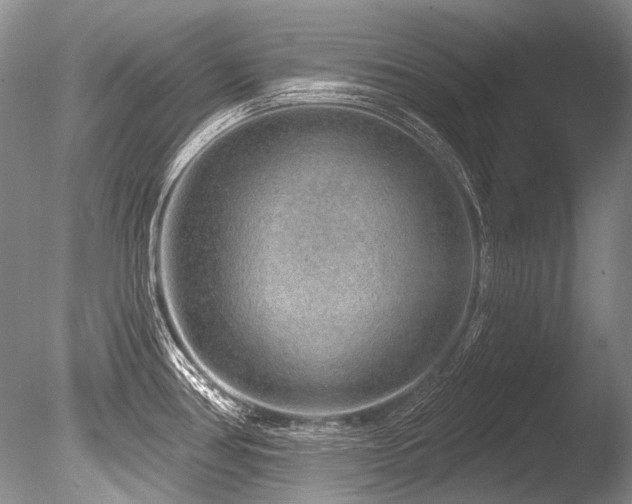 X0000086321386200703301206