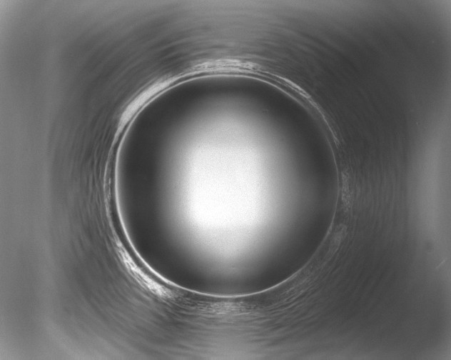 X0000086321387200703301206