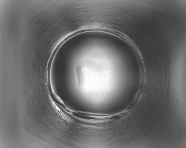 X0000086321388200703301206