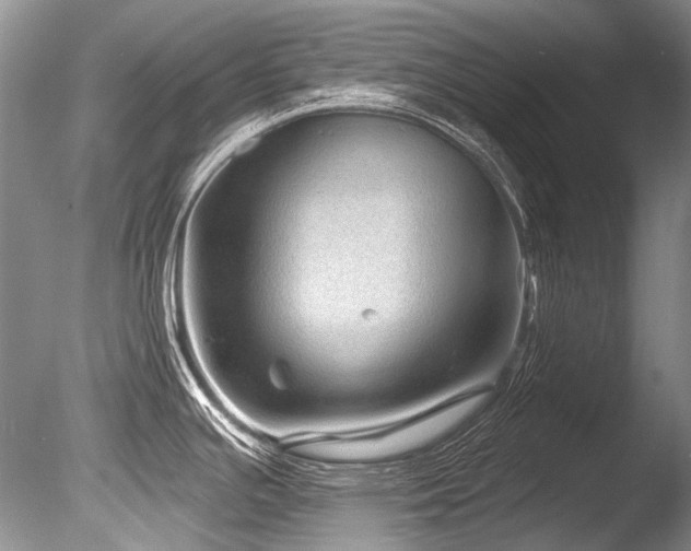 X0000086321391200703301206