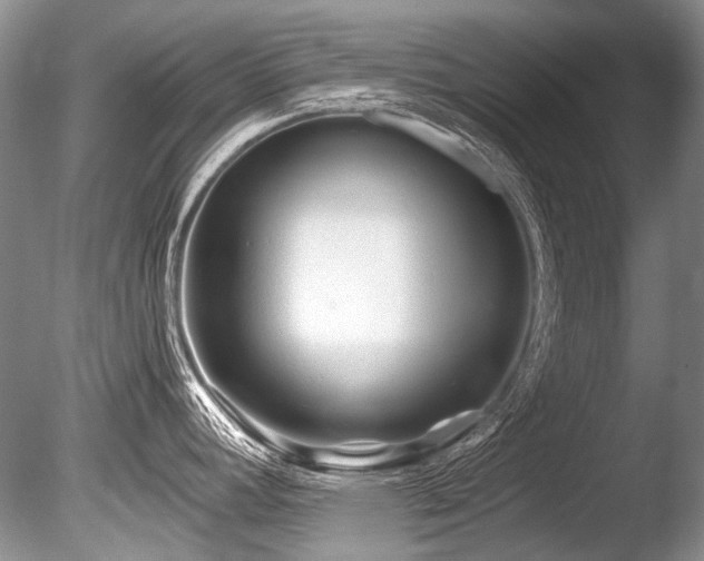 X0000086321392200703301206