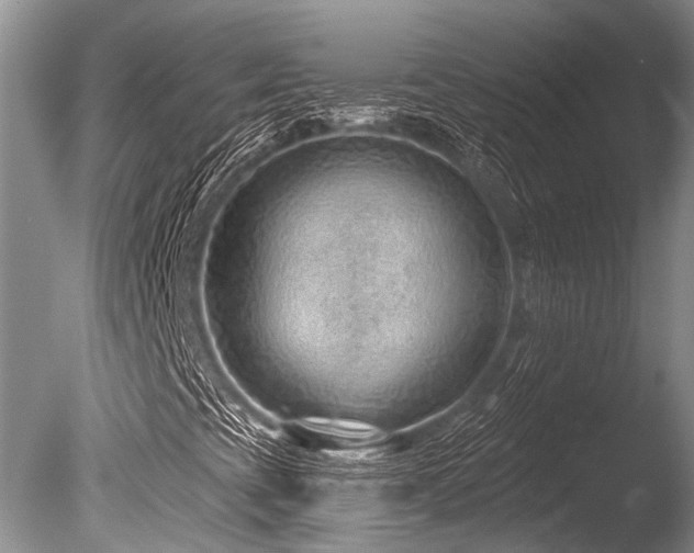 X0000086321393200703301205