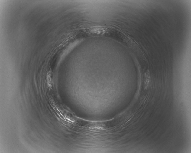 X0000086321394200703301205