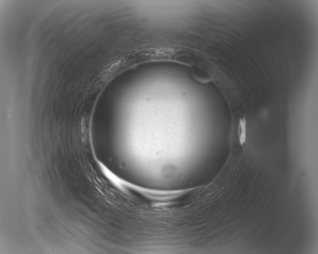 X0000086321395200703301205