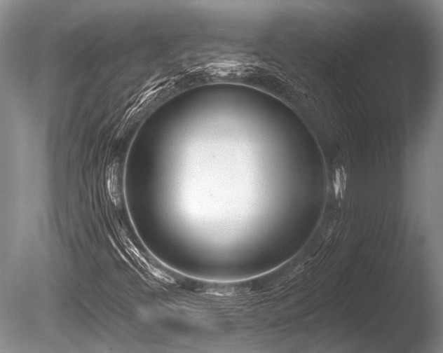 X0000086321396200703301205