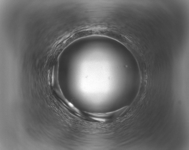 X0000086321398200703301205
