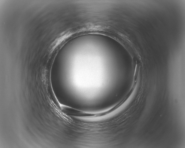 X0000086321404200703301205