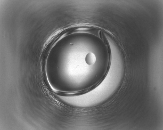 X0000086321406200703301205