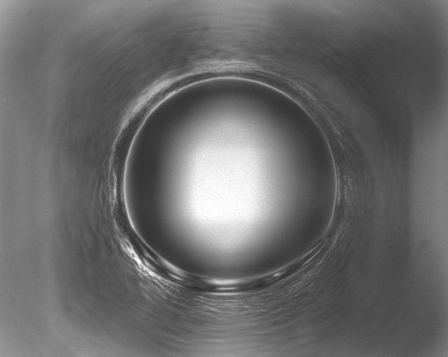 X0000086321414200703301205