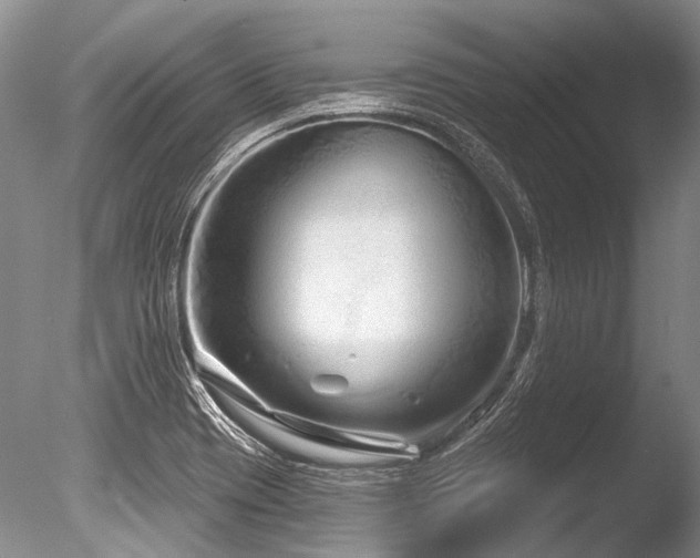 X0000086321417200703301206