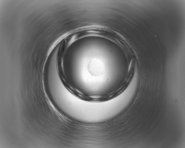 X0000086321418200703301206