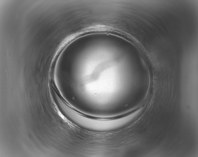 X0000086321421200703301206