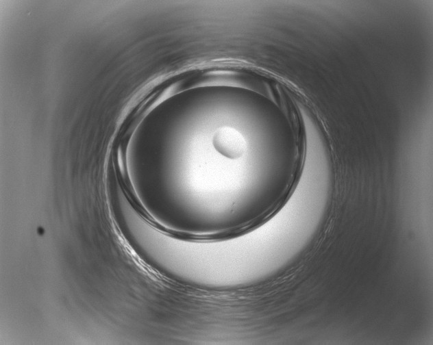 X0000086321422200703301206