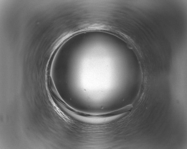 X0000086321423200703301206