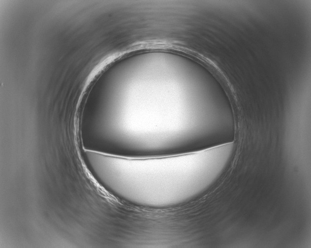 X0000086321424200703301206