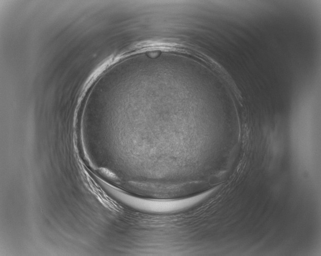 X0000086321427200703301206