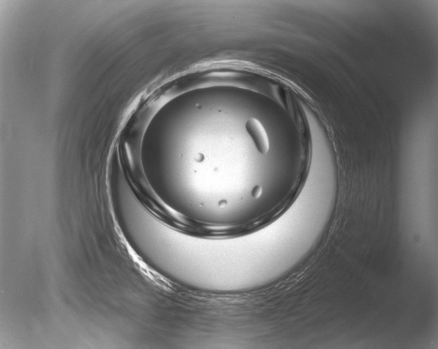 X0000086321430200703301206