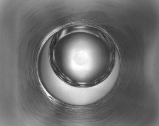 X0000086321434200703301206