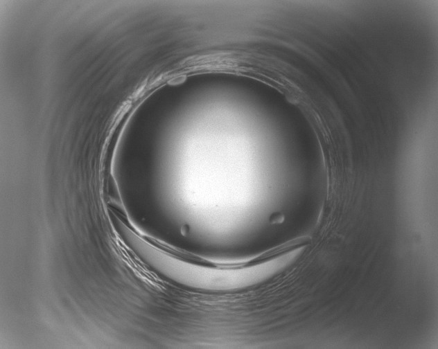 X0000086321435200703301206