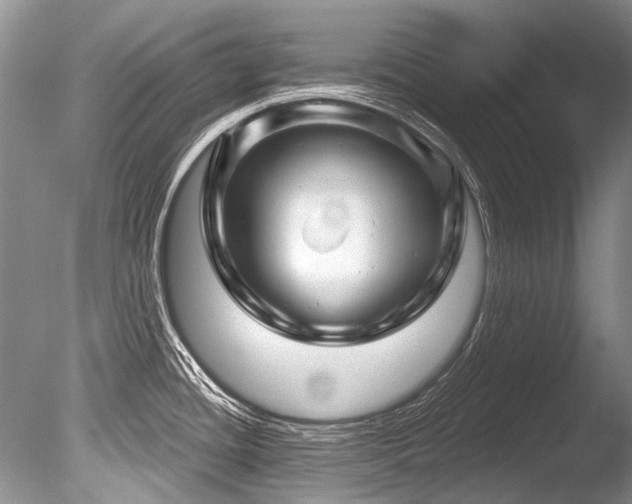 X0000086321436200703301206