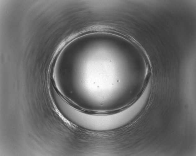 X0000086321437200703301206