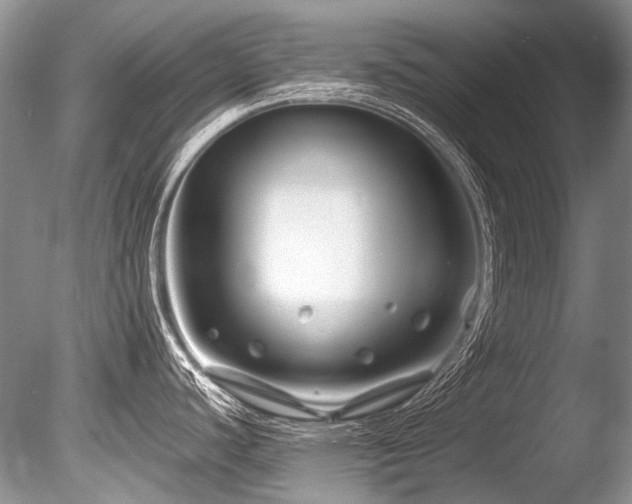 X0000086321440200703301206