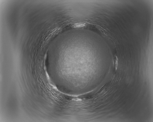 X0000086321441200703301205