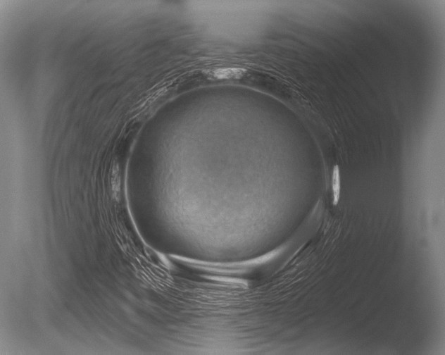 X0000086321443200703301205