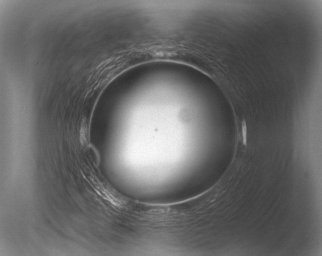 X0000086321444200703301205