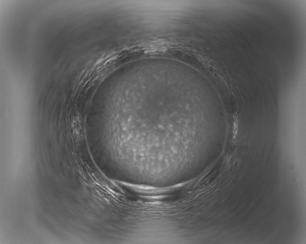 X0000086321445200703301205