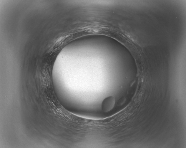 X0000086321446200703301205