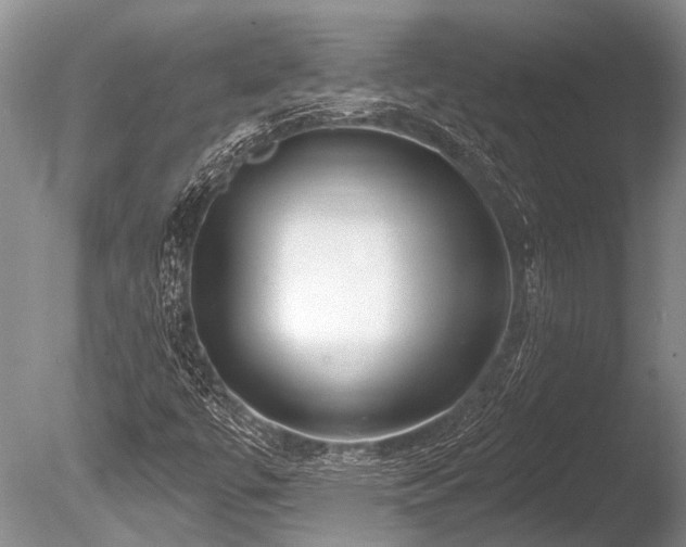 X0000086321447200703301205