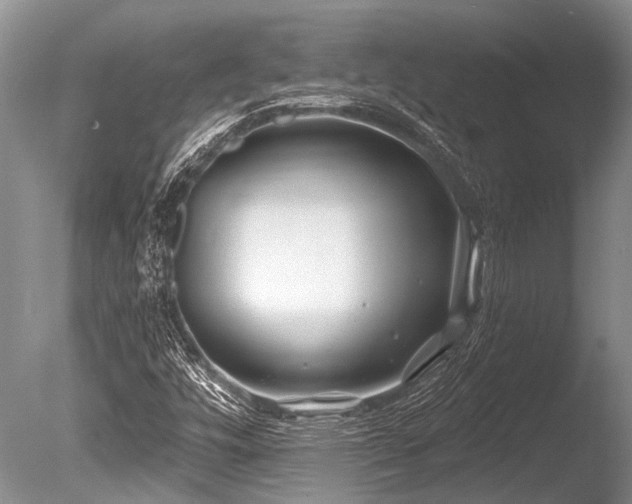 X0000086321448200703301205