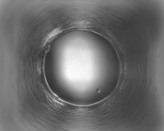 X0000086321451200703301205