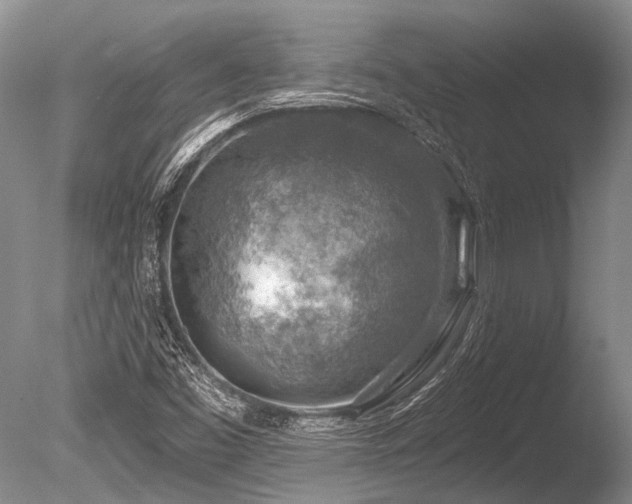 X0000086321453200703301205