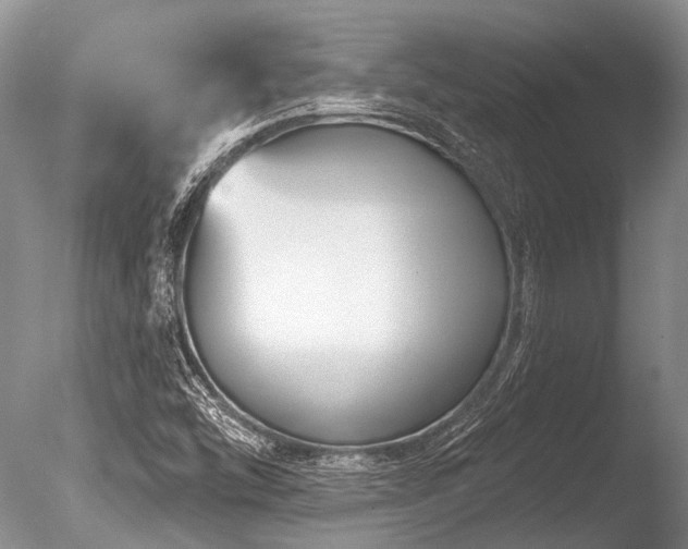 X0000086321454200703301205