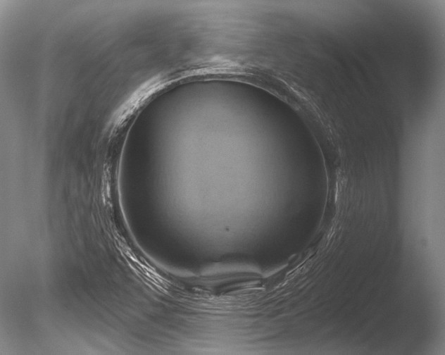 X0000086321455200703301205